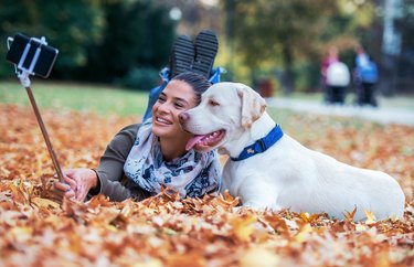 Young woman with a dog in the park. Pets and animals concept
