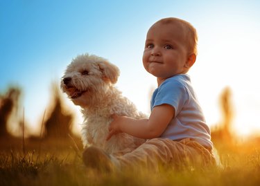 Happy child playing with his dog