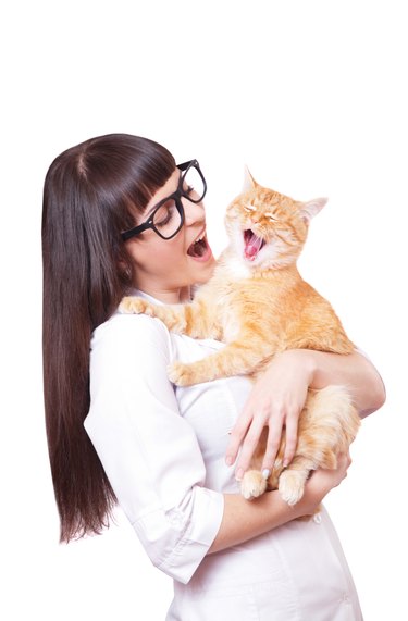 Portrait of a beautiful woman holding red cat