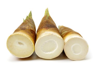 it is bamboo shoot isolated on white.