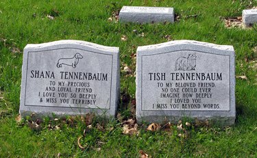 Two Dog Grave Stones