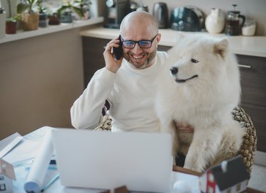 Mature adult man working at home with dog (using phone)