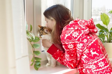 Winter time at home, young girl in winter warm pajamas with a cat looking out the window