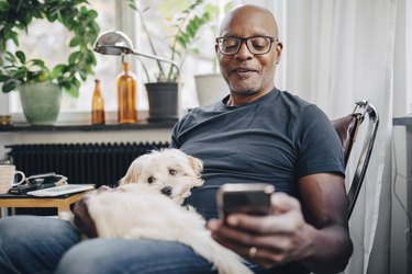 Smiling senior male using smart phone with dog sitting on his lap at home
