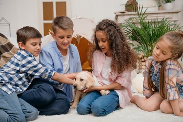 multiethnic girls and boys playing with labrador puppy at home