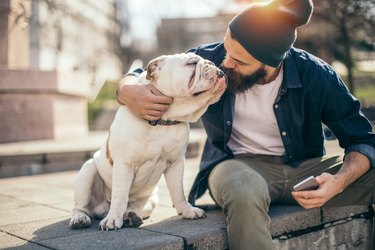 Man and dog in the park