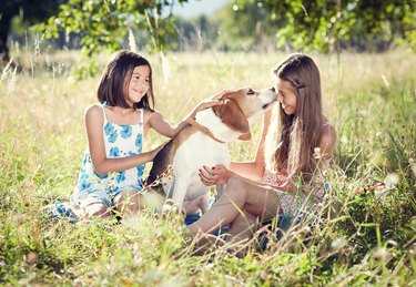 Two sisters with dog