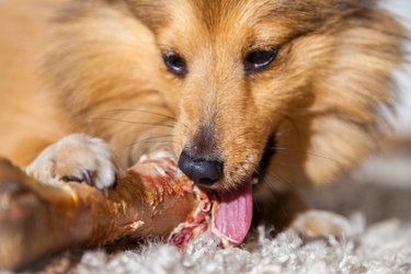 are turkey leg bones safe for dogs to eat