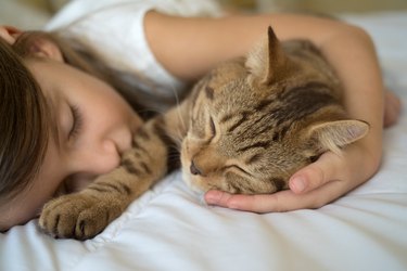 Child sleeping with cat