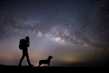 Silhouette Man Walking With Dog On Field Against Star Field