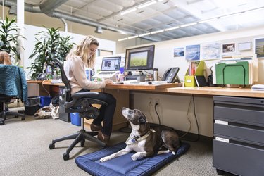 White woman in sitting at a desk in an office with a dog laying on a mat