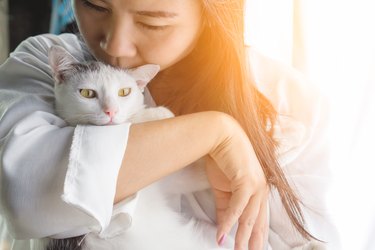 woman kissing her cute white cat with love