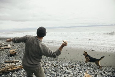 Man throwing stick for dog on rugged beach