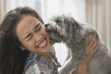 Mixed race woman playing with dog