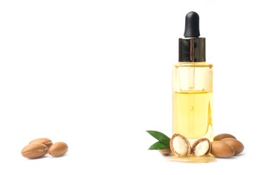 ARGAN SEEDS isolated on a white background. Argan oil and argan nuts concept