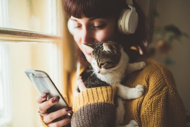 kitten on woman's shoulder looking at her phone