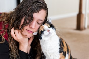 Young woman bonding with calico cat bumping rubbing bunting heads, friends friendship companion pet happy affection bonding face expression, cute adorable kitty