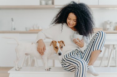 young woman drinks coffee, plays with dog, poses against cozy kitchen interior, express love, togtherness and friendship between animals and people. Domestic atmosphere