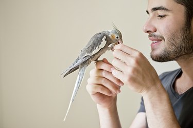 Attractive man playing with his parrot indoors