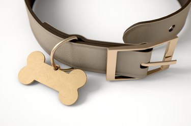 Leather Collar With Tag