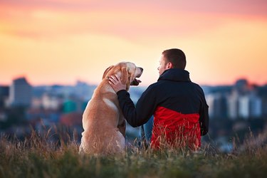 Man with his dog against sunset outside