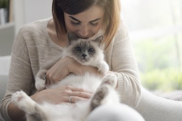 Cat might be telling you they're overstimulated