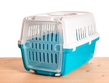 transport box for small animals cat dog