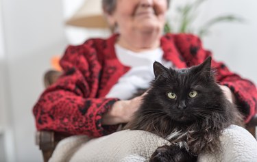 Old woman with her cat