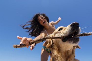 Young woman playing with her dog in a a beach