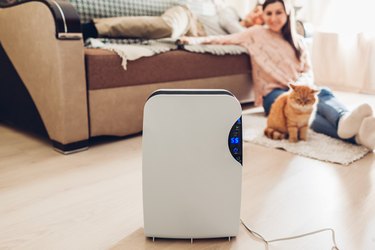 woman and cat looking at air purifier in living room