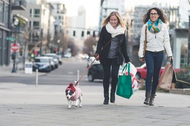 Young stylish females walking down a city street with a dog and shopping bags