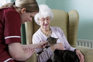 young nurse and senior woman stroking cat in care home