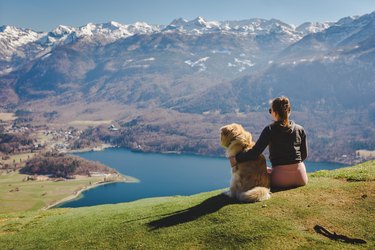 Woman and her dog admire the view