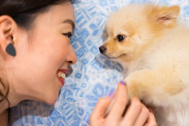 Asian girl and her dog staring into each other's eyes