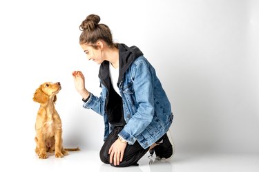 Full Length Of Young Woman Playing With Puppy Against White Background