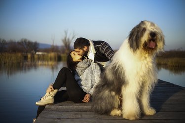 Happy young couple with bodyguard dog on a dock