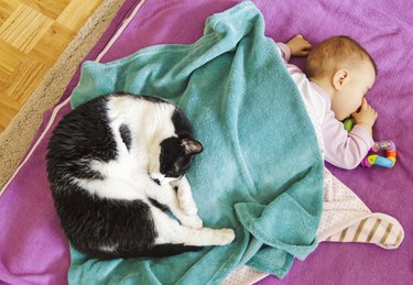 Baby sleeping on floor with her cat