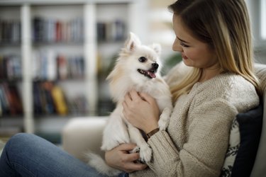 woman holds smiling dog