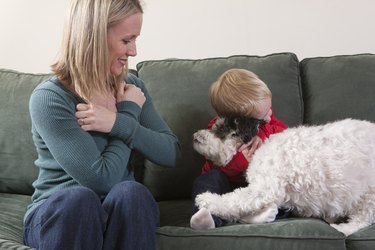 Woman signing the word 'Hug/Love' in American Sign Language with her son hugging a dog