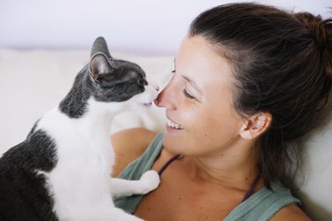 Cute cat licking her happy owner on the nose