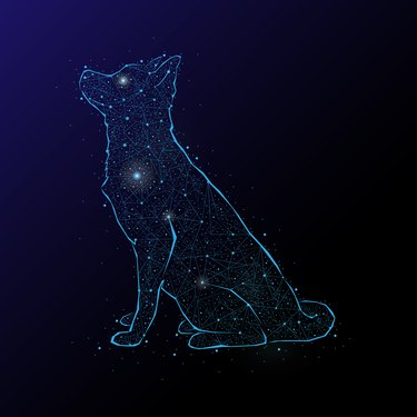 Abstract image of a dog in the night sky and space. Consisting of points and lines.