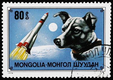 Laika stamp