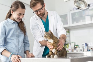 Doctor and girl looking at cat on table in veterinary clinic