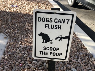 Dog scoop poop sign