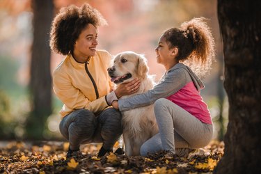 Happy black mother and daughter communicating while spending an autumn day with their retriever in nature.
