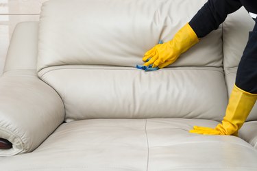 How to Get Urine & Pet Stains Out of Leather Upholstery