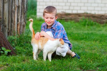 Ginger cat tenderly rubs against the foot of a boy