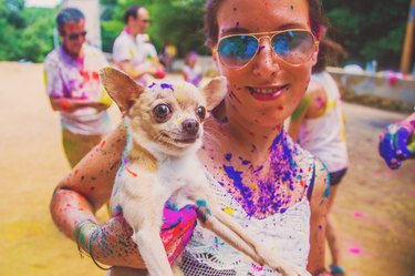 People gathering together celebrating a Holi party in the outdoor with happiness expressions and covered with vivid colors.