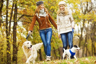 Cheerful Young Woman Walking With Dogs outdoors