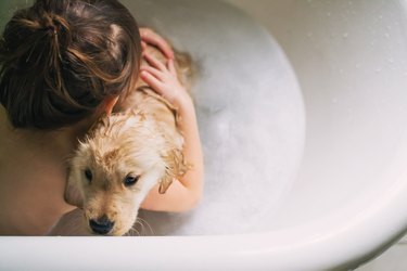 Boy taking a bath with golden retriever puppy dog